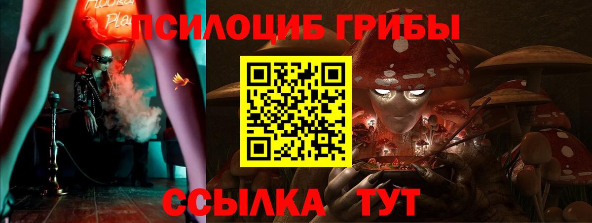 Магадан  Псилоцибиновые грибы MAGIC MUSHROOMS  Вход с VPN 